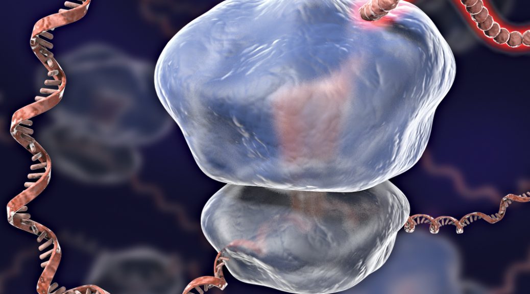 An artist’s rendition of a ribosome. Credit: C. BICKLE/SCIENCE